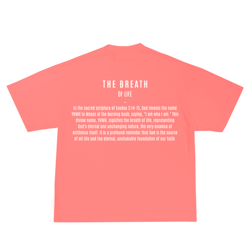 Meaning of YHWH Pink Edition